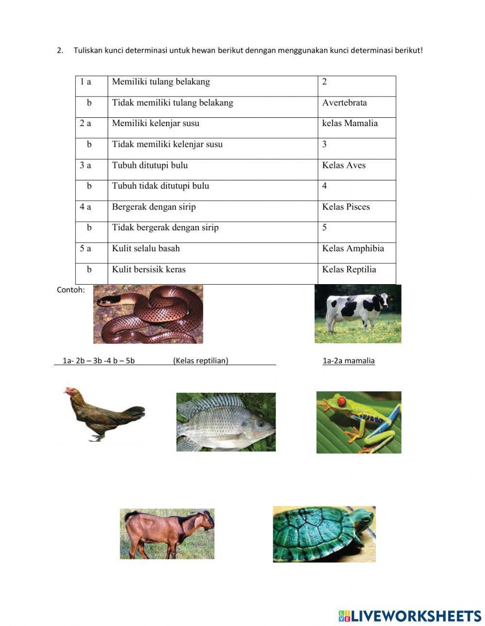LKPD KLASIFIKASI MAKHLUK HIDUP