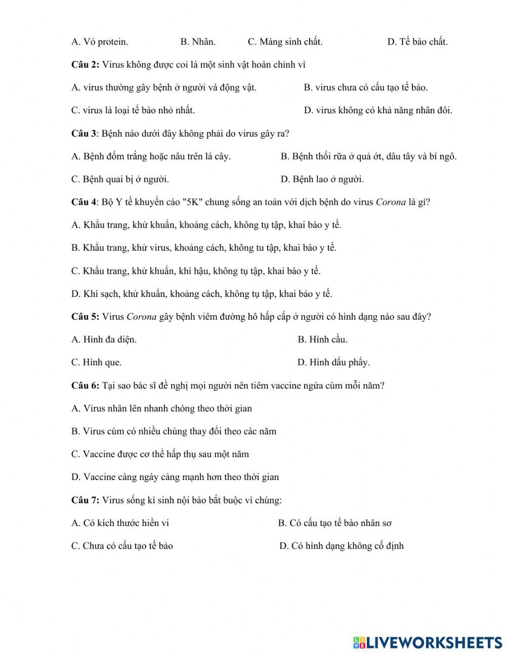 Phiếu học tập Virus