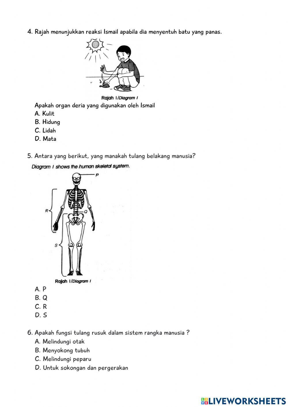 KUIZ SAINS AKHIR TAHUN - TAHUN 5 part 1