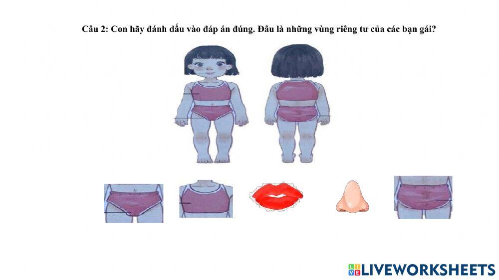 Kiểm tra cuối kì I lớp 3