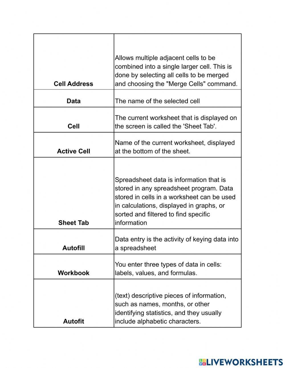 Spreadsheet Vocabulary Matching