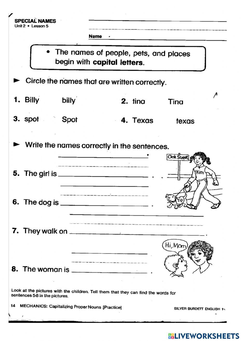 Special Nouns ( Proper Nouns)