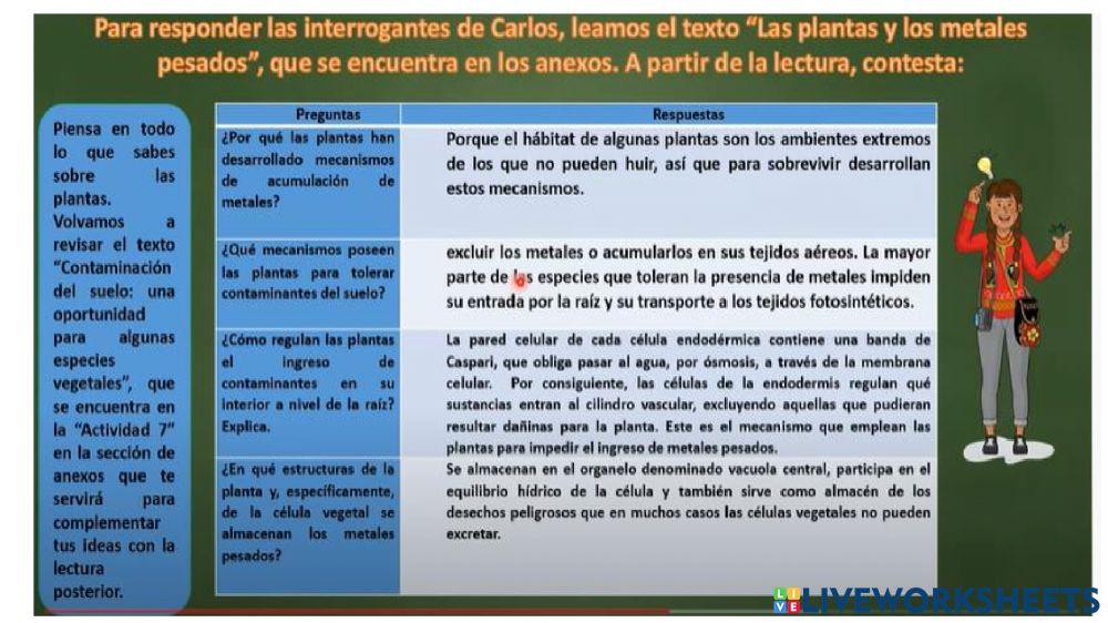 Explicamos el funcionamiento de las celulas en las plantas para la descontaminación de los suelos