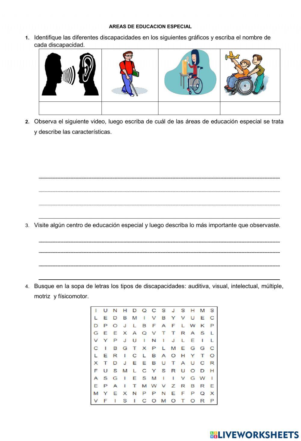 Tipos de discapacidades