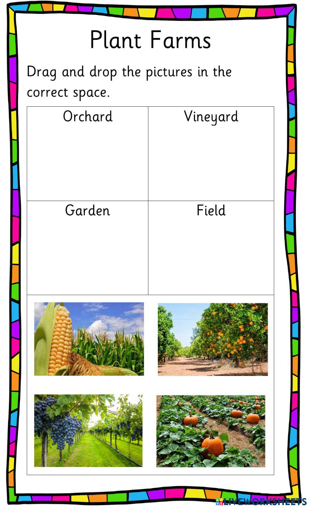 Plant Farms Plant Farms