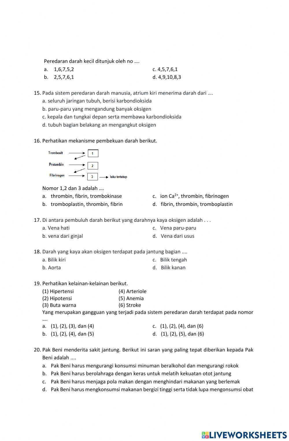 Lkpd 1 bab.6 sistem peredaran darah