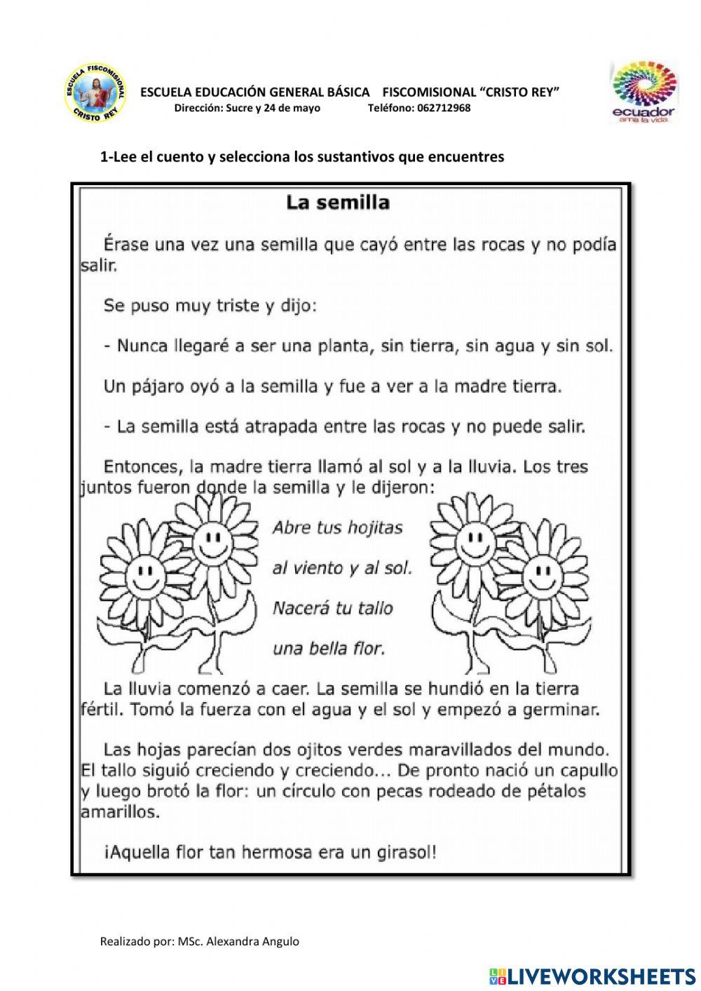 Refuerzo de sustantivos, adjetivos, diminutivos