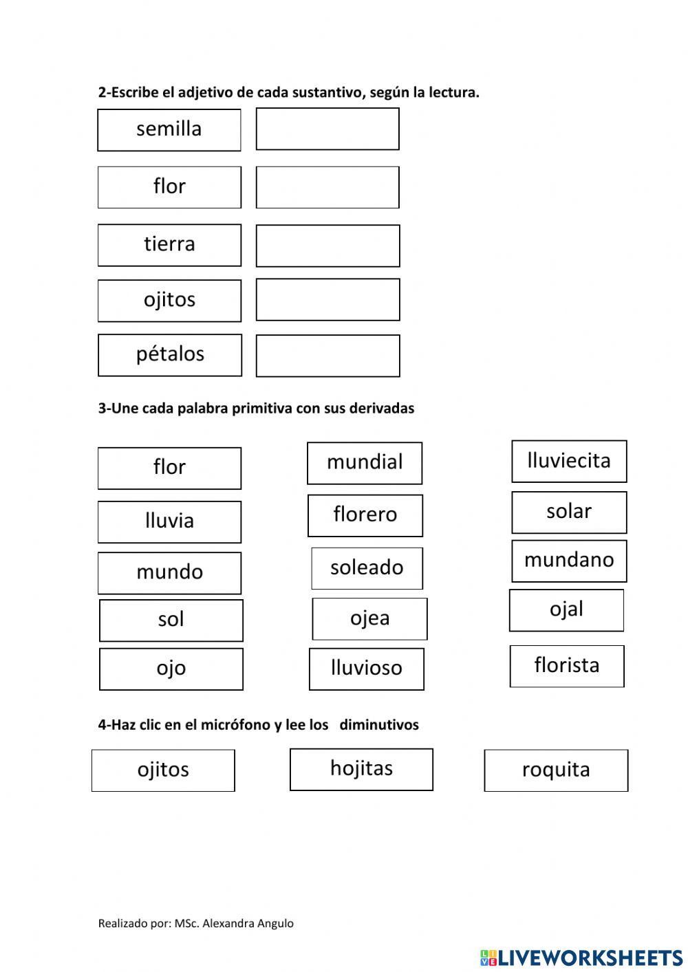 Refuerzo de sustantivos, adjetivos, diminutivos