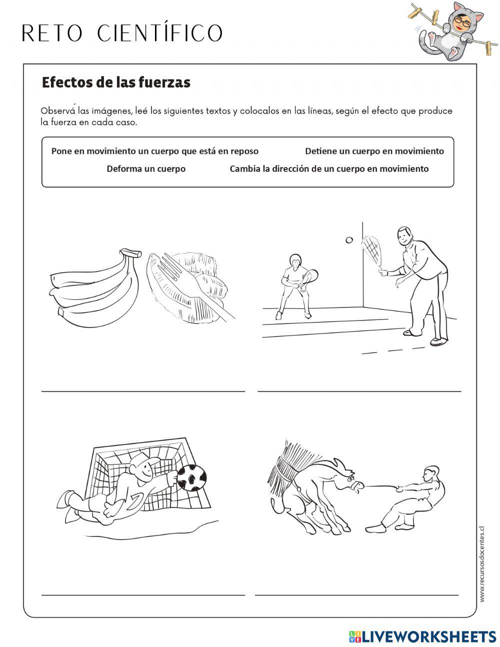 Fuerzas y sus efectos