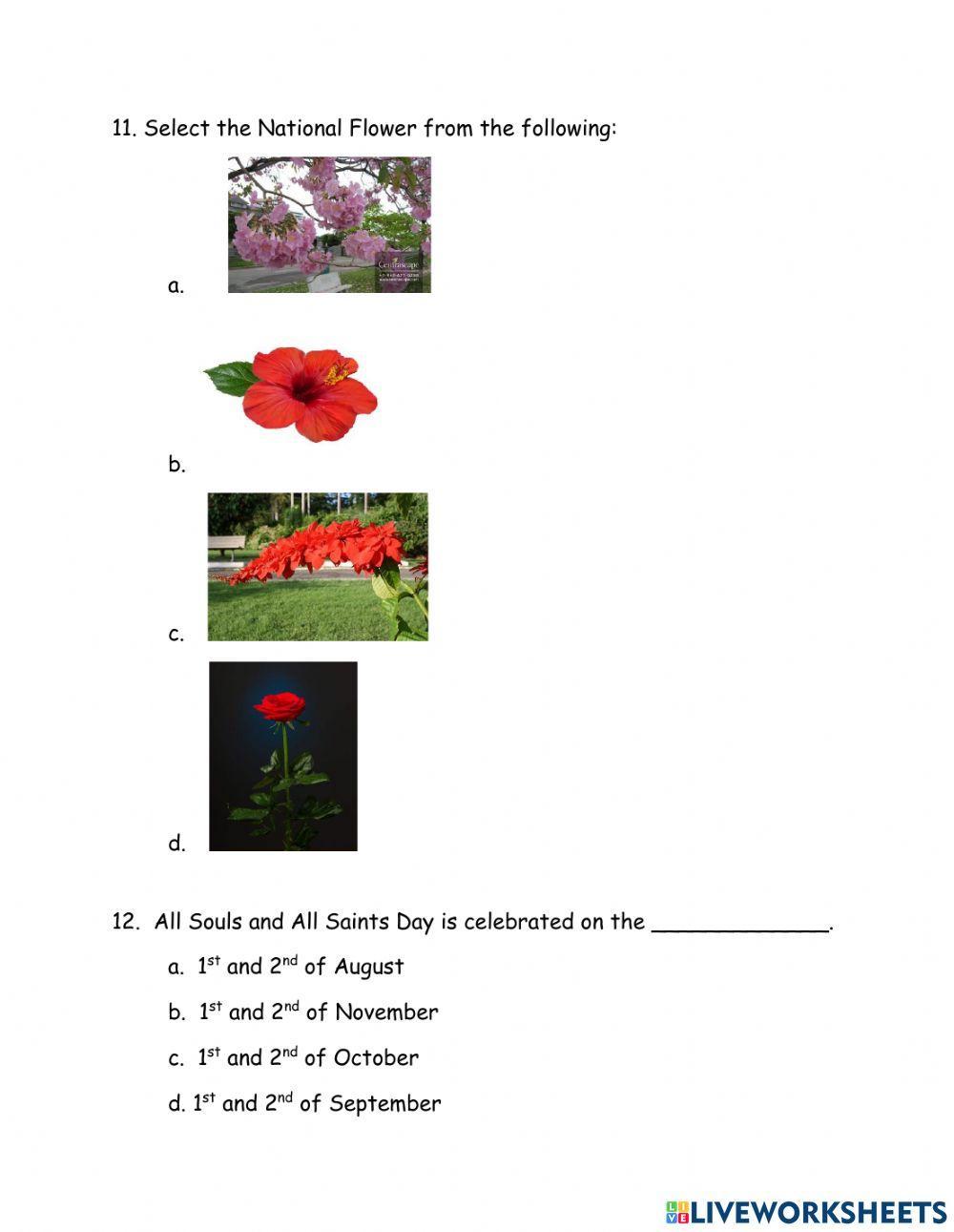 SOcial StudIES Standard 1 - Term 1