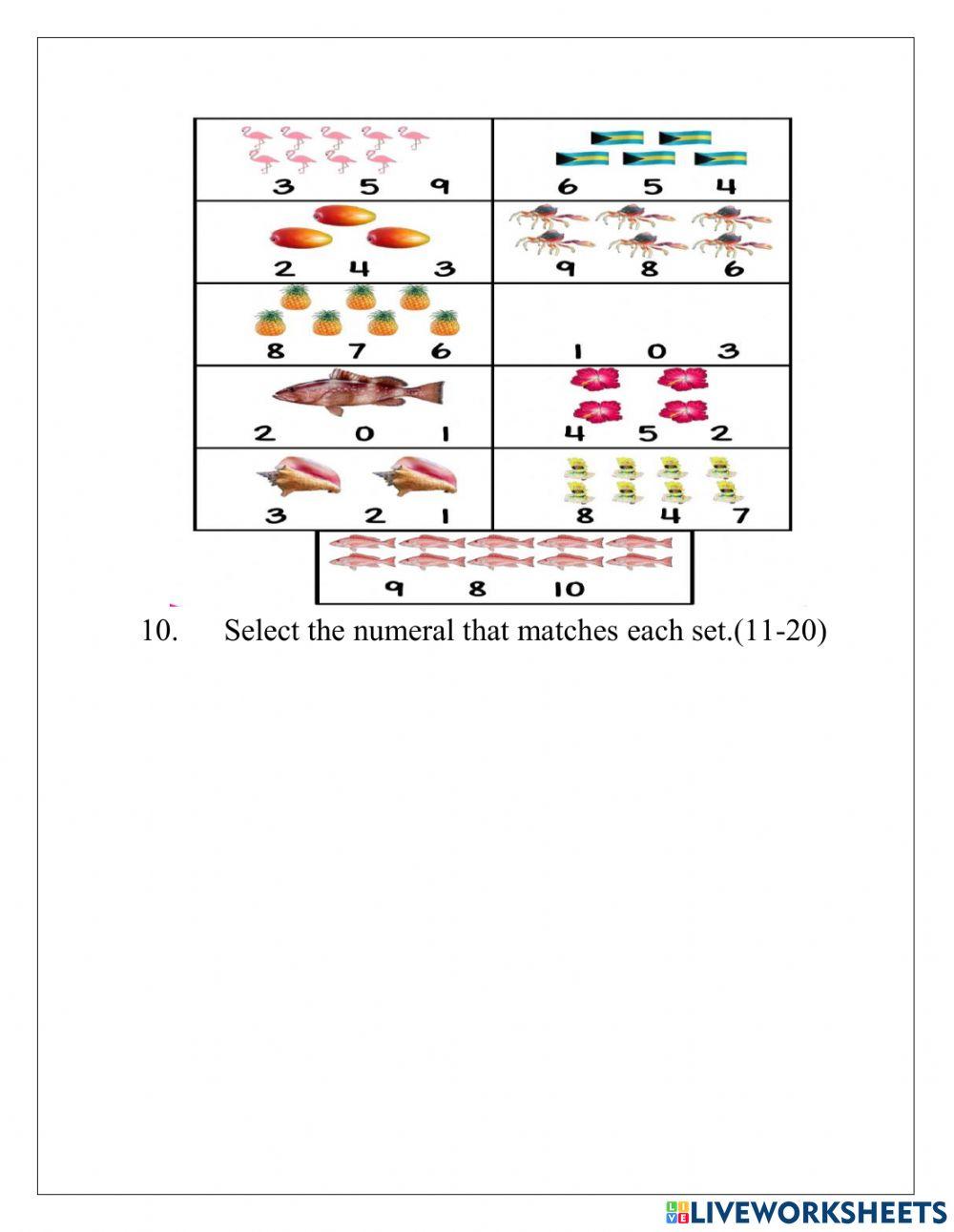 Term 1 Mathematics 2021