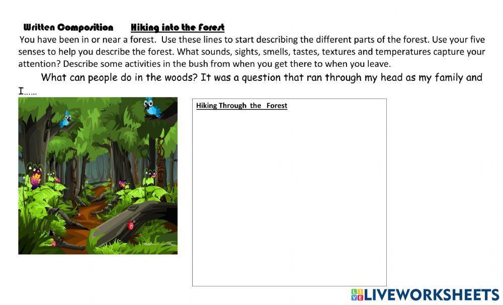 Written Composition Describing forest Hike