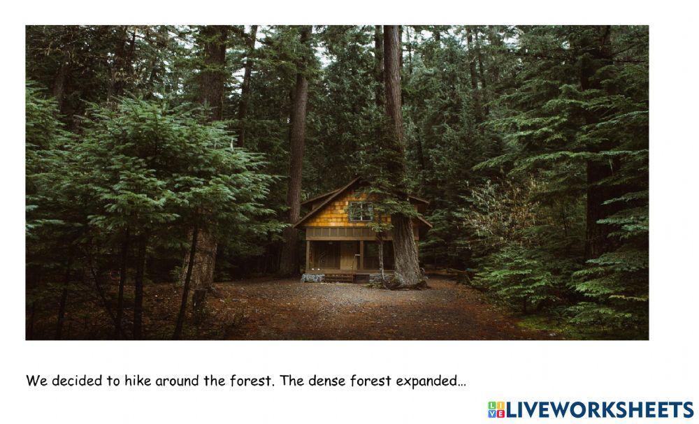 Written Composition Describing forest Hike