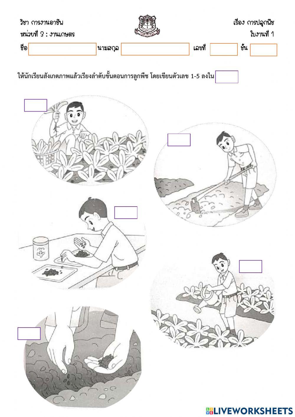 การปลูกพืช