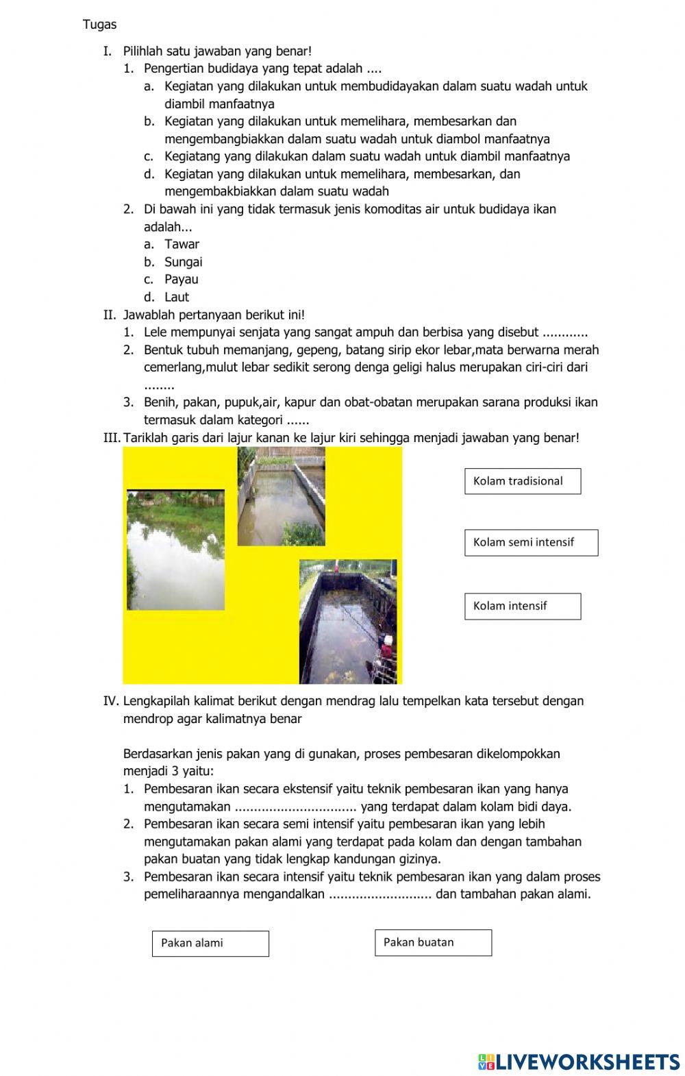 Budi daya ikan konsumsi