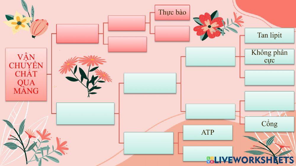 Van chuyển chất qua màng
