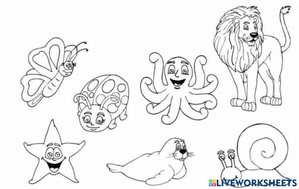 Animales vertebrados e invertebrados