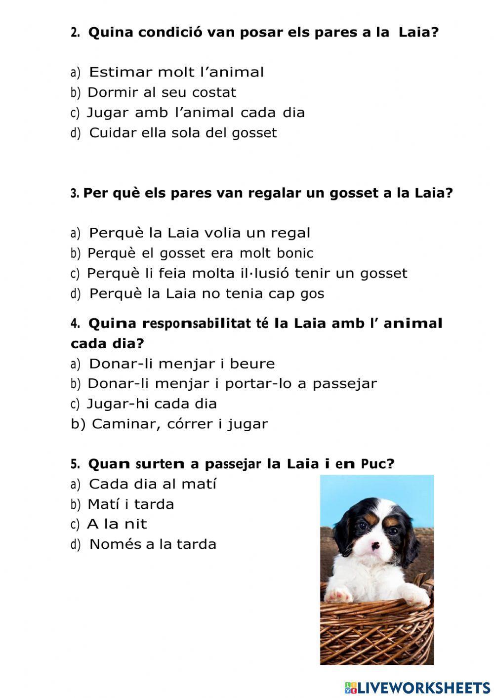 Un regal molt especial