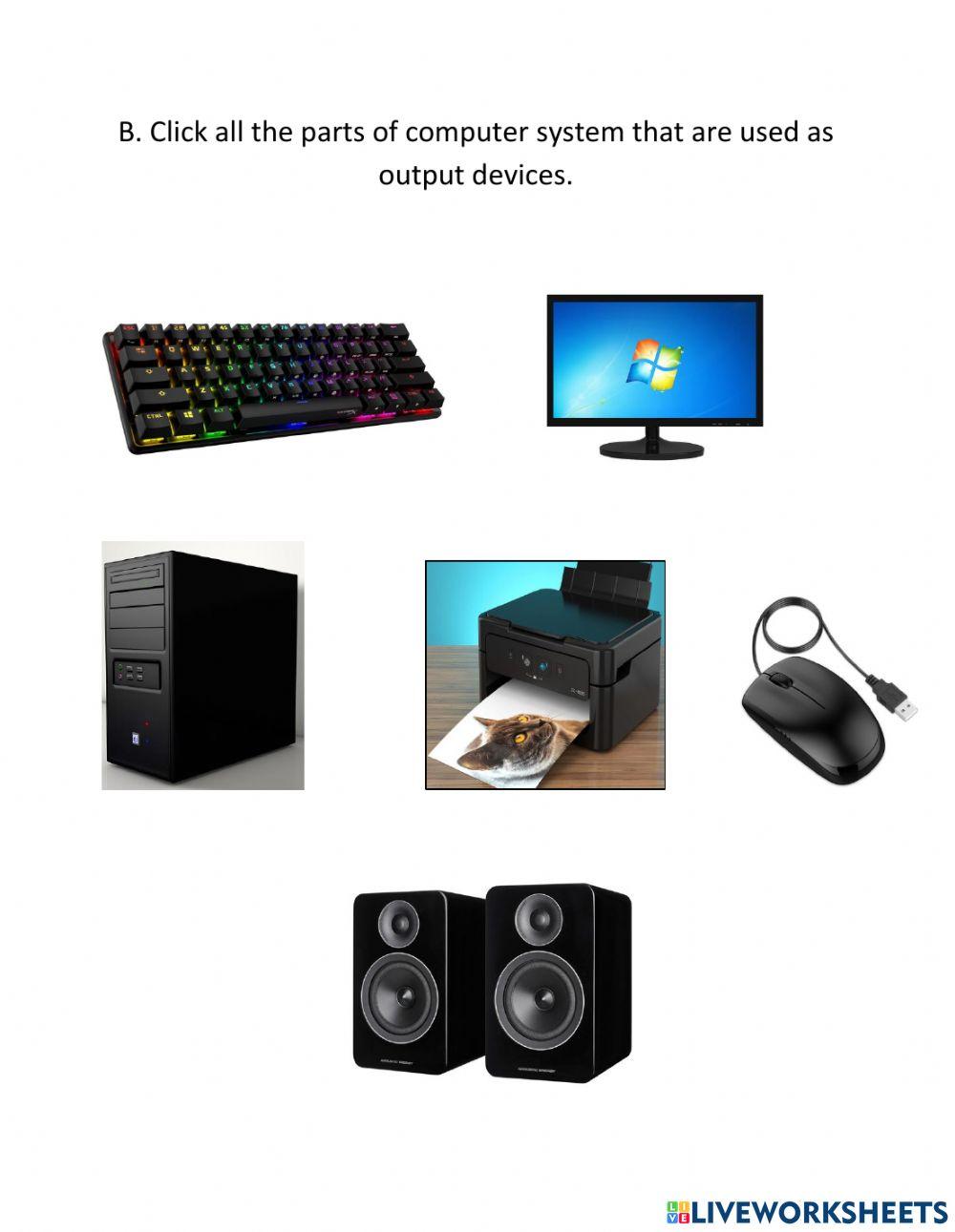 Output Devices | Live Worksheets