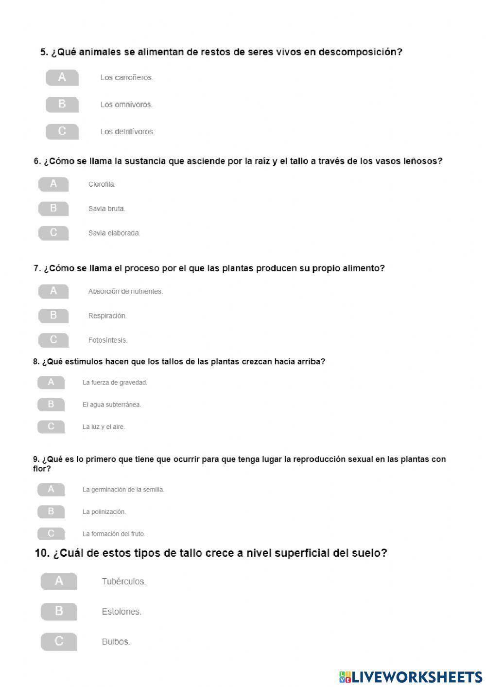 Las funciones vitales de animales y plantas