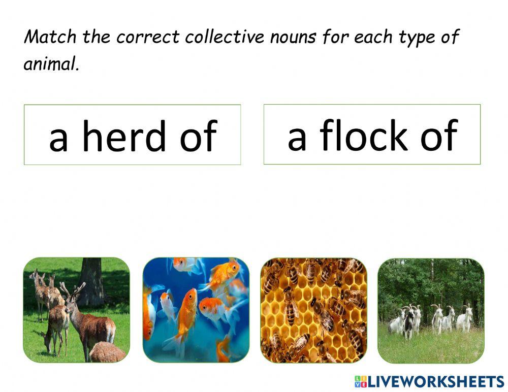 Collective nouns