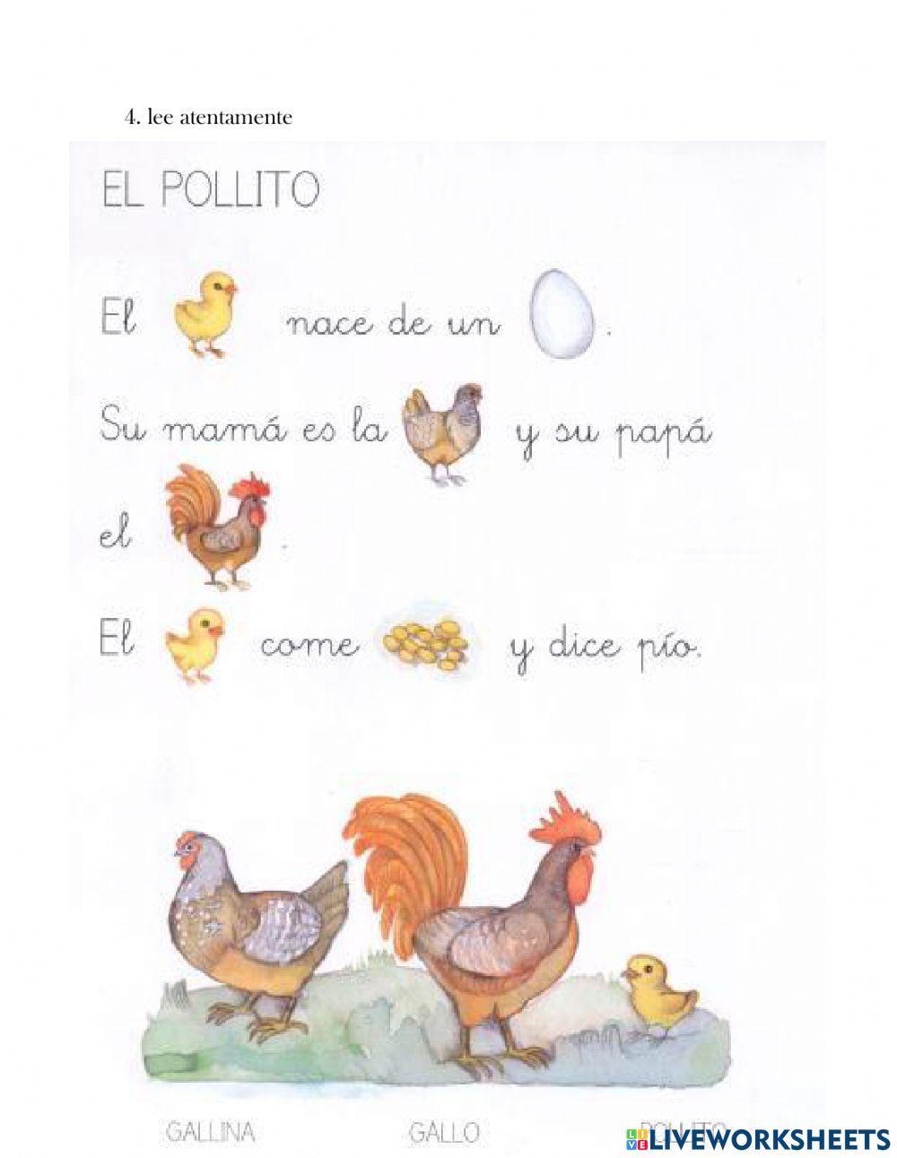 Examen de comunicación