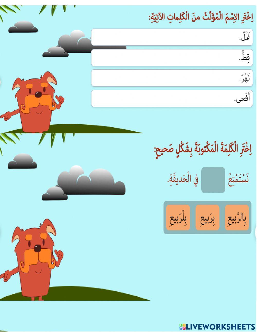 مغامرة في غابة الأمازون