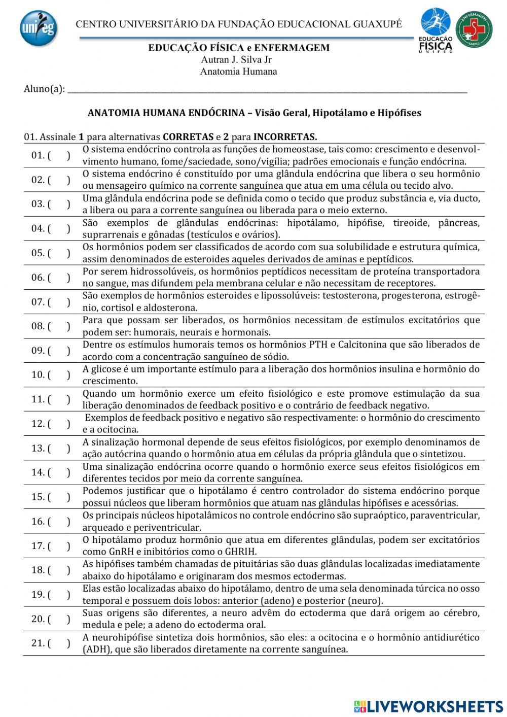 Anatomia Endocrina: Visão Geral, Hipotálamo e Hipófise