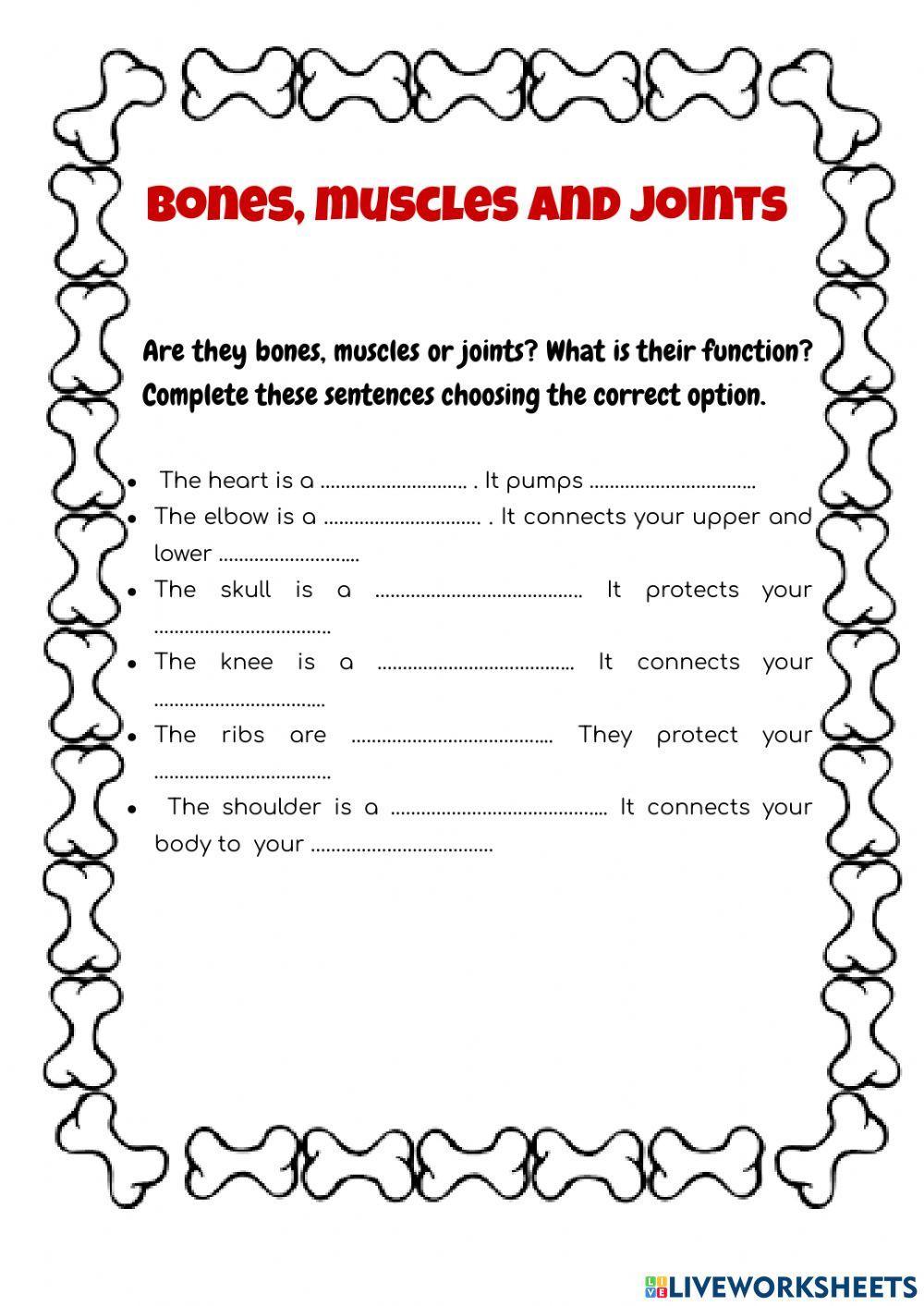 Bones, joints and muscles