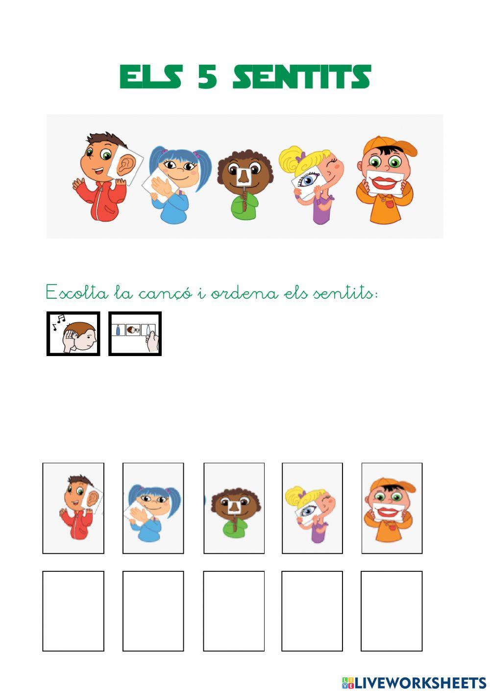 Els sentits: cançó