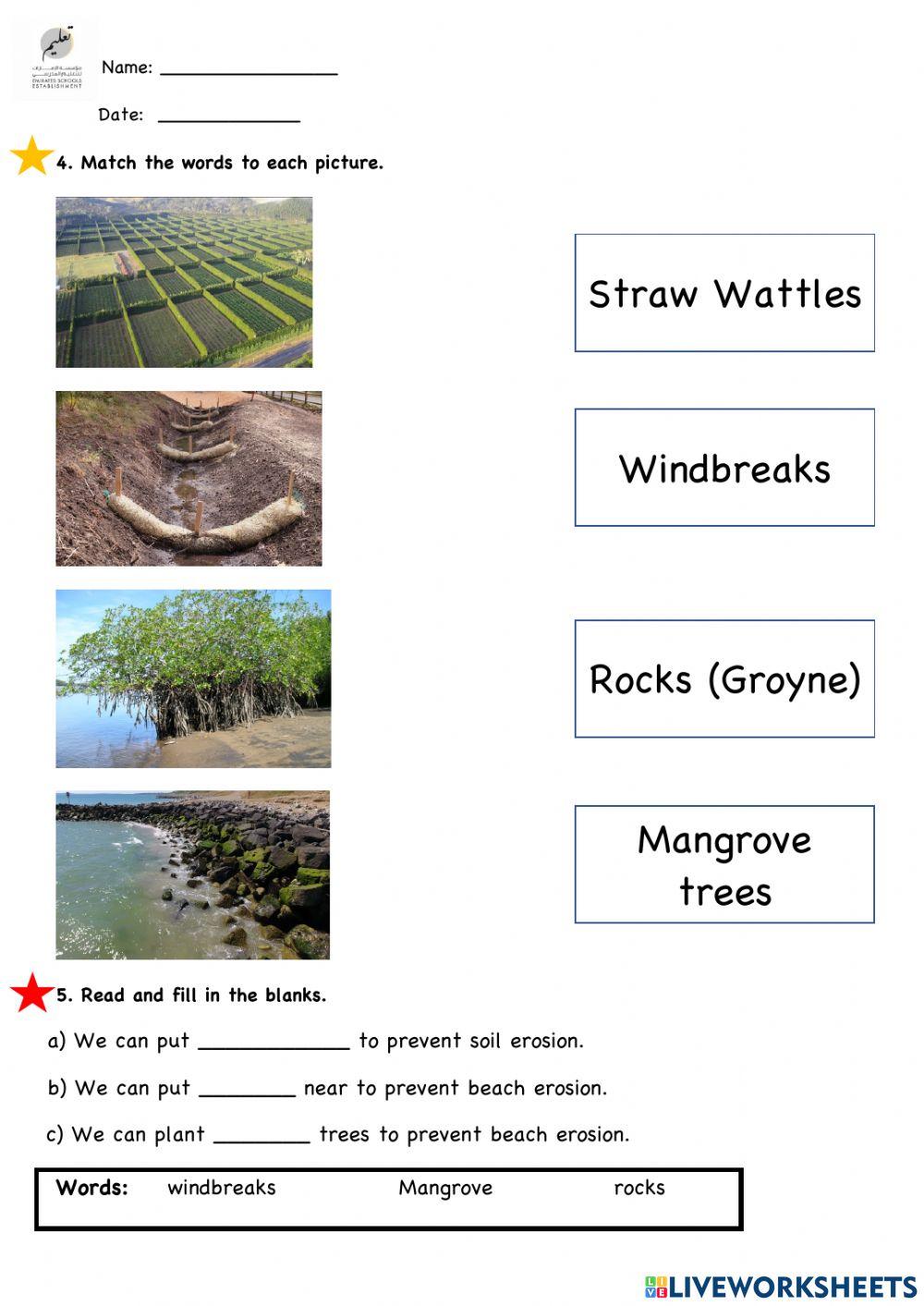 Preventing erosion Preventing erosion