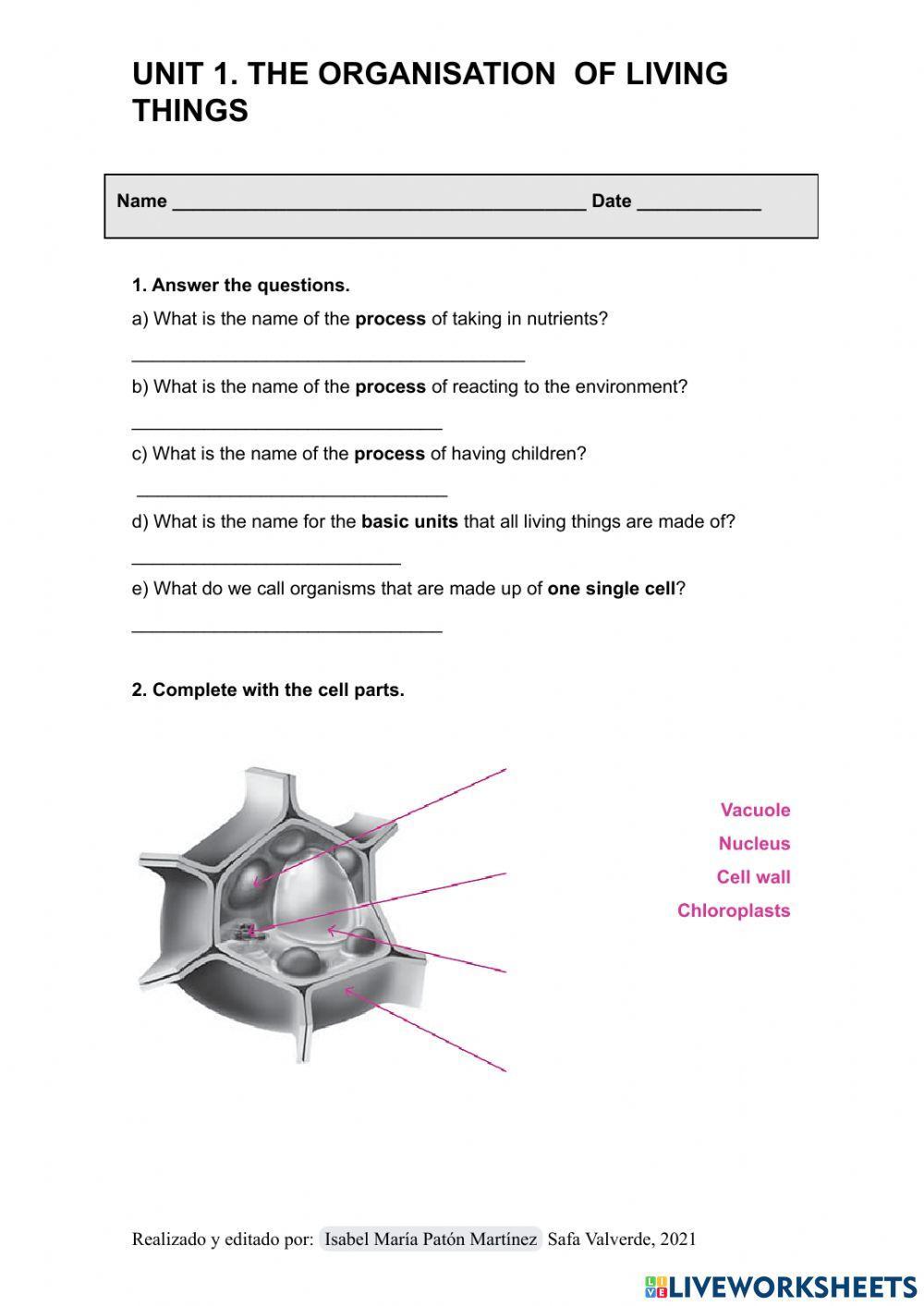 Oranisation of living things