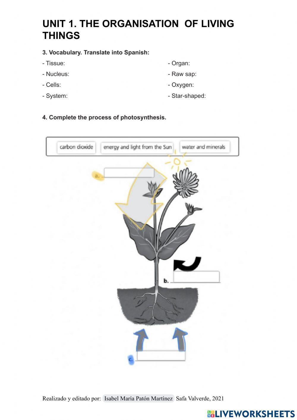 Oranisation of living things