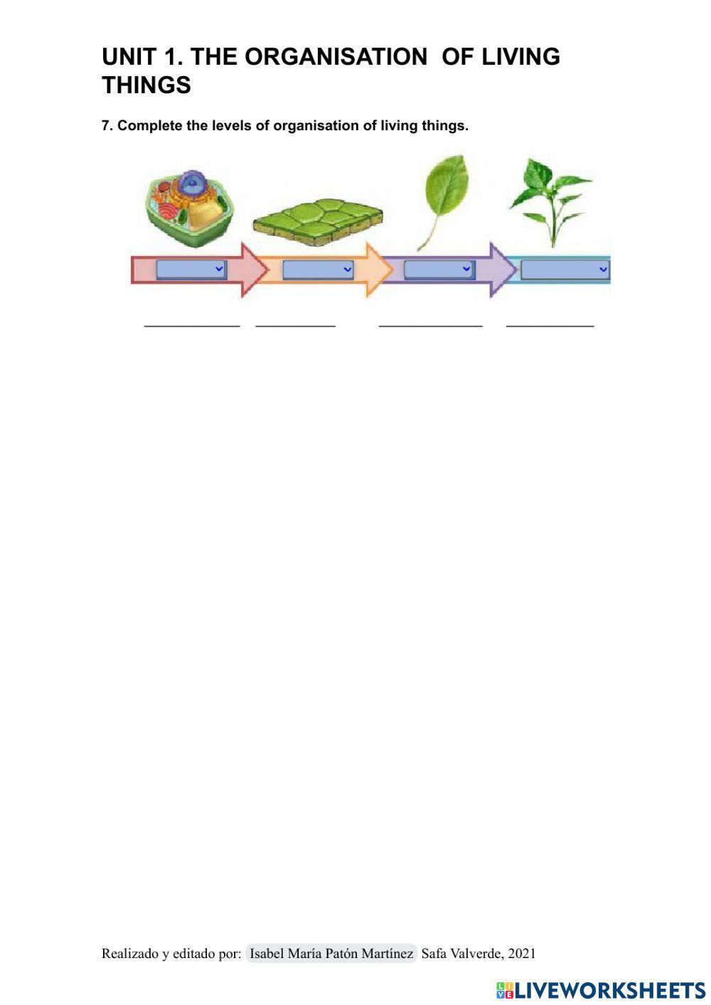 Oranisation of living things