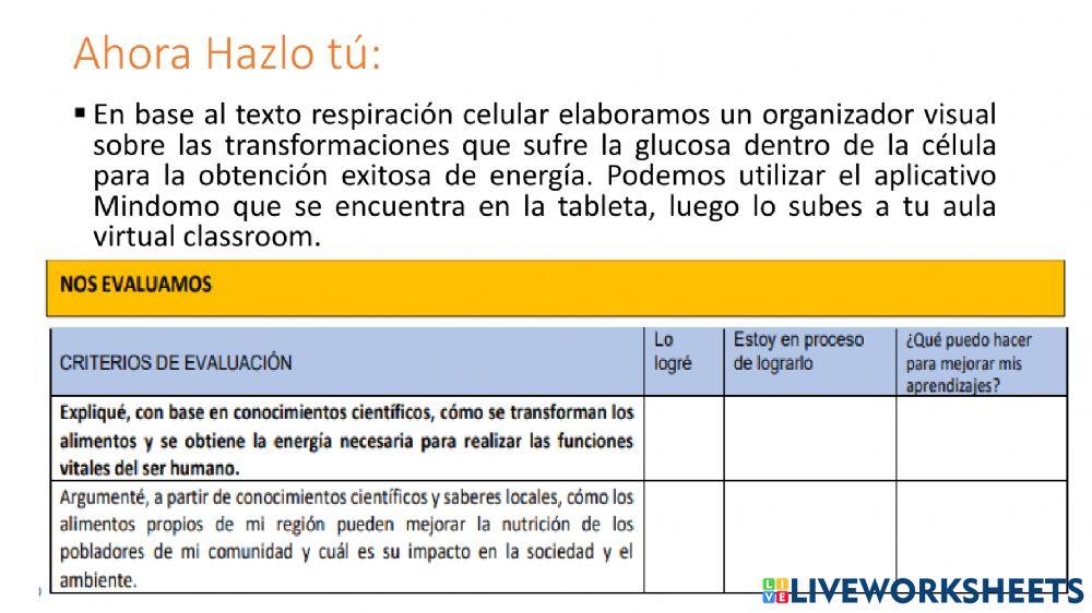 Respiraciòn celular