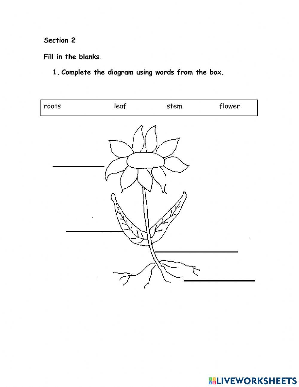 SCiENce-Agri Term 1 Standard 1