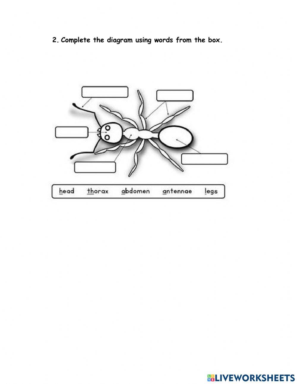 SCiENce-Agri Term 1 Standard 1