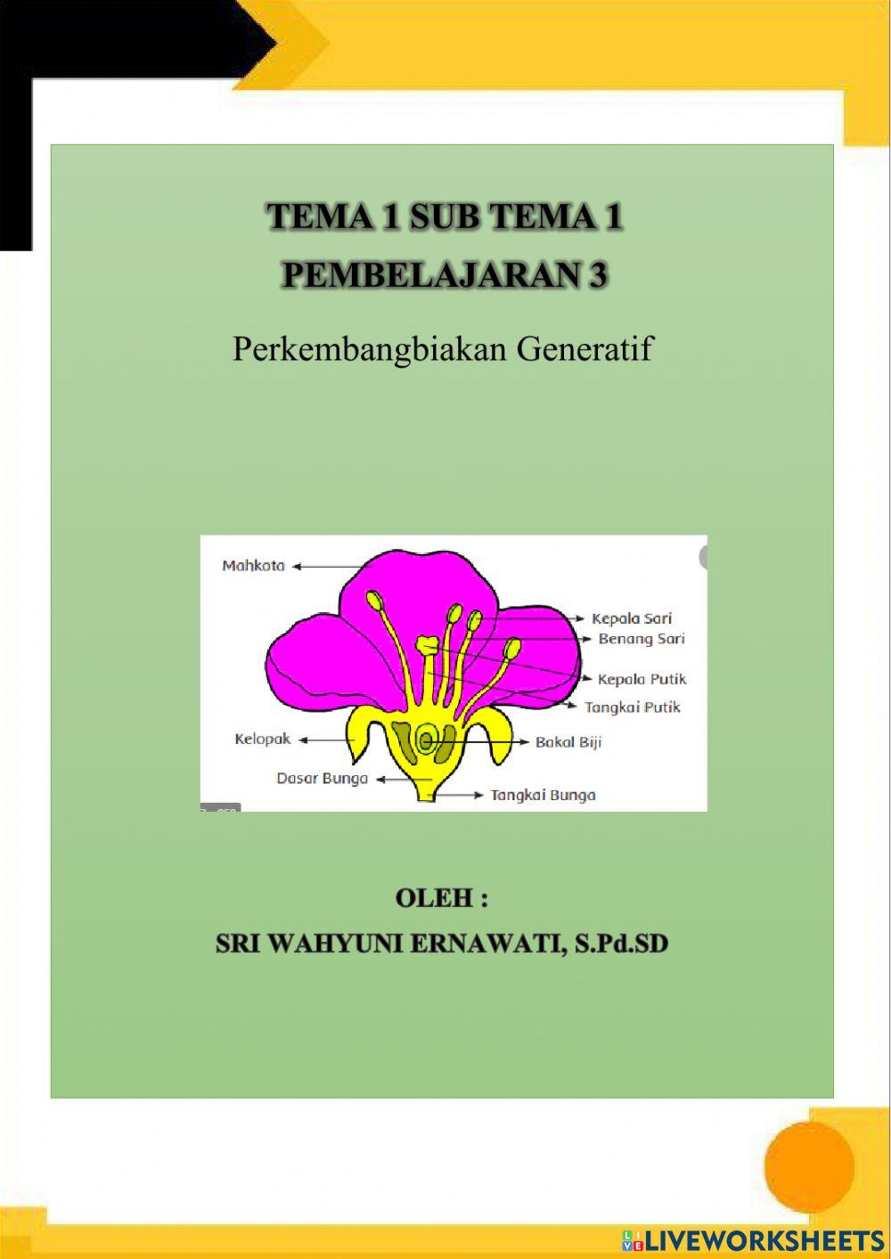 Perkembangbiakan Generatif