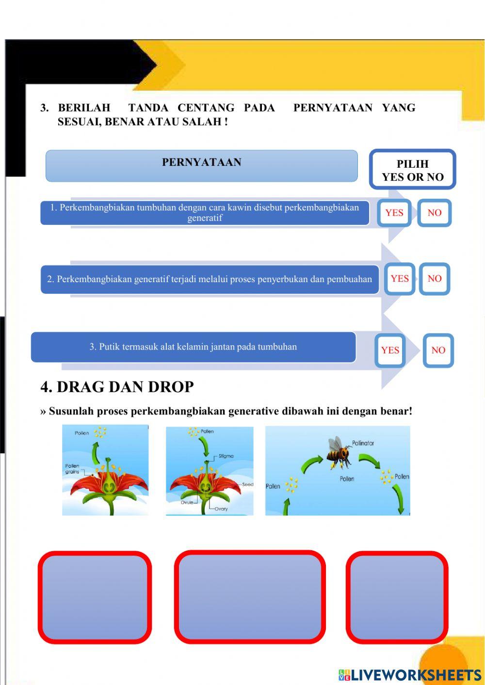 Perkembangbiakan Generatif