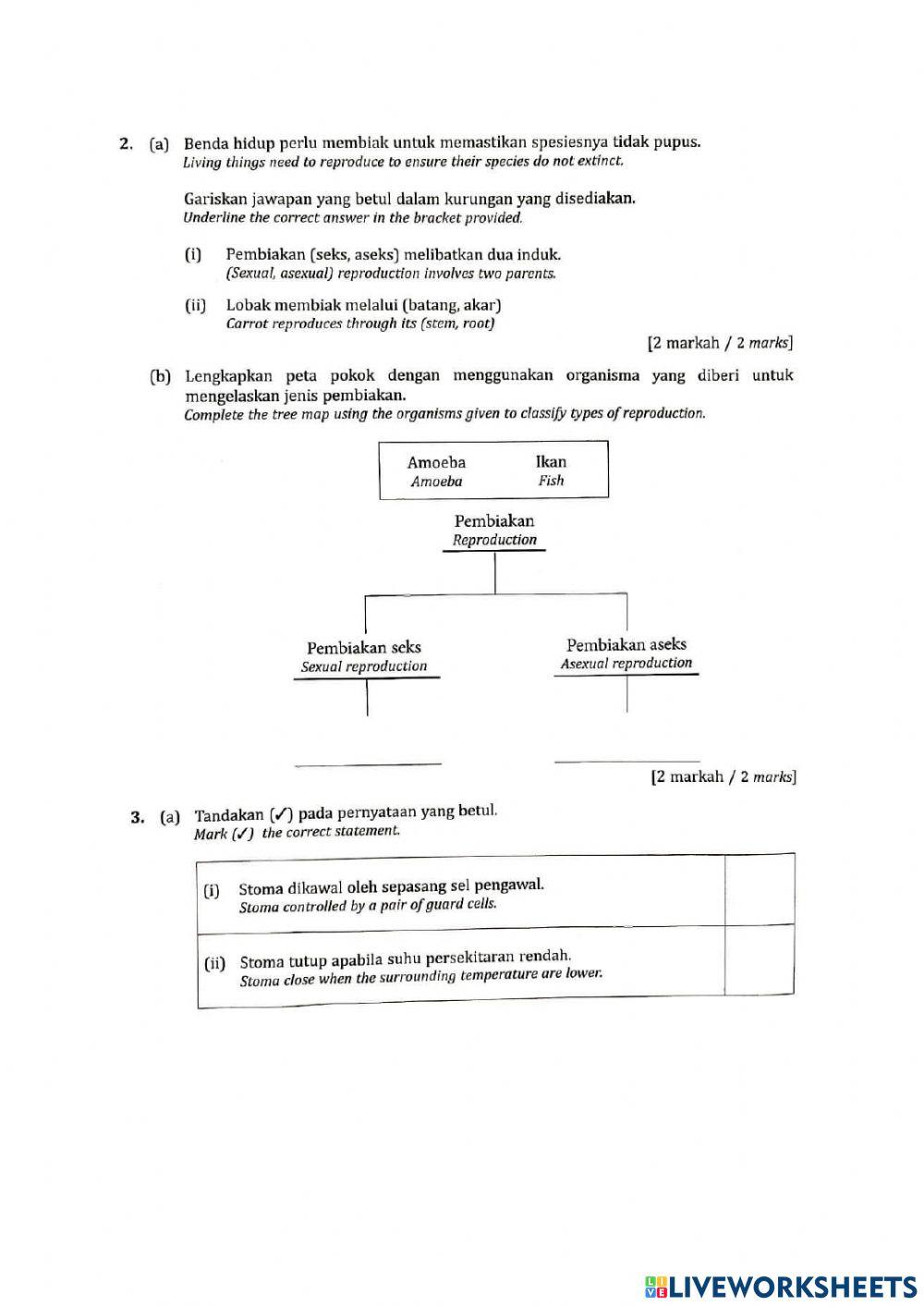 Pentaksiran sumatif T1 2021