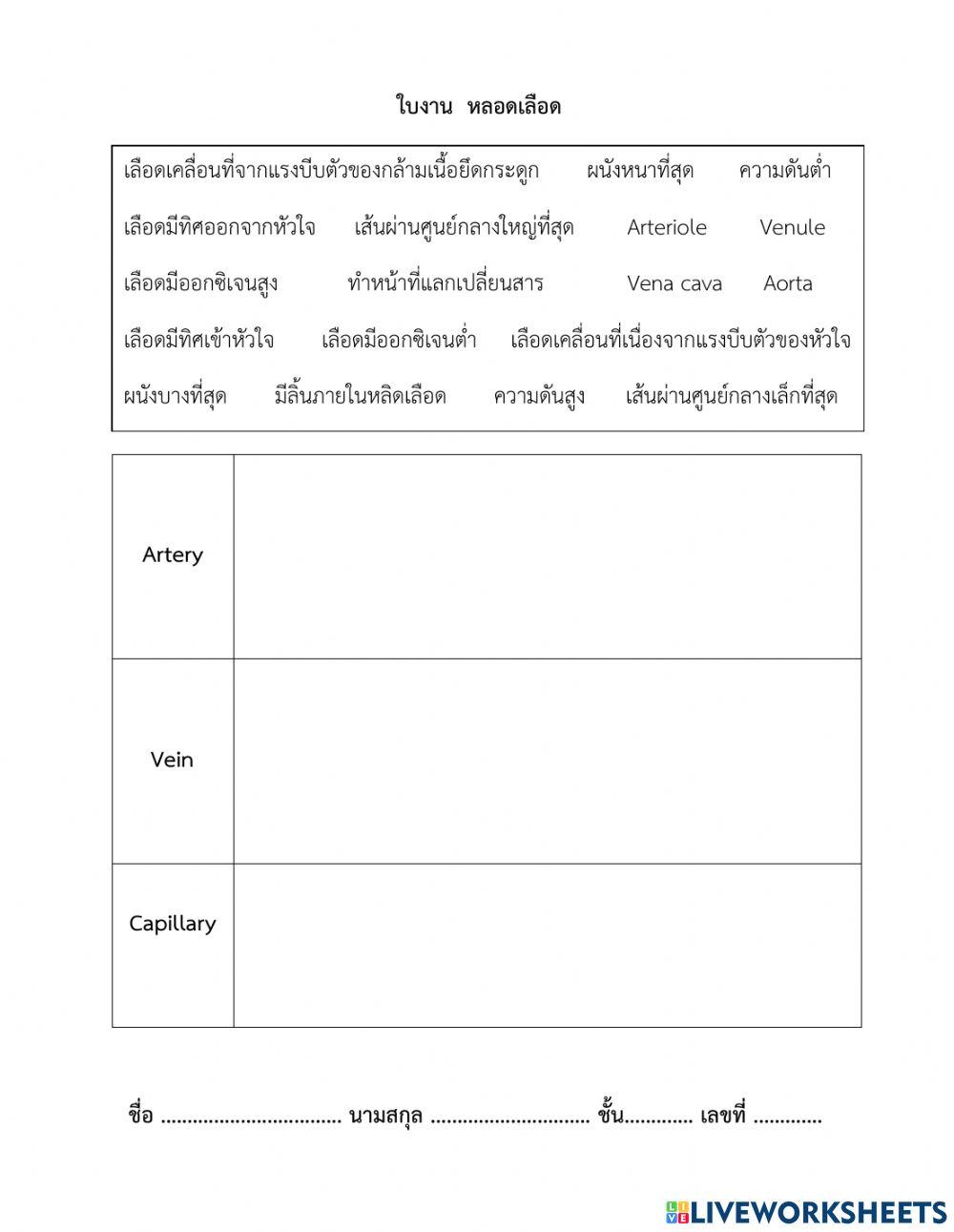 หลอดเลือด