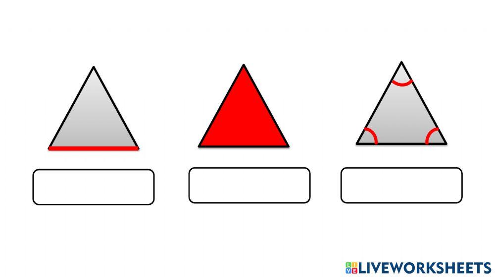 Parts of a Triangle