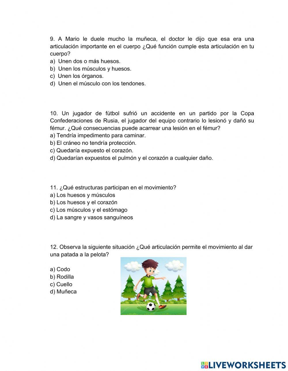 Sistema músculo-esqueletico