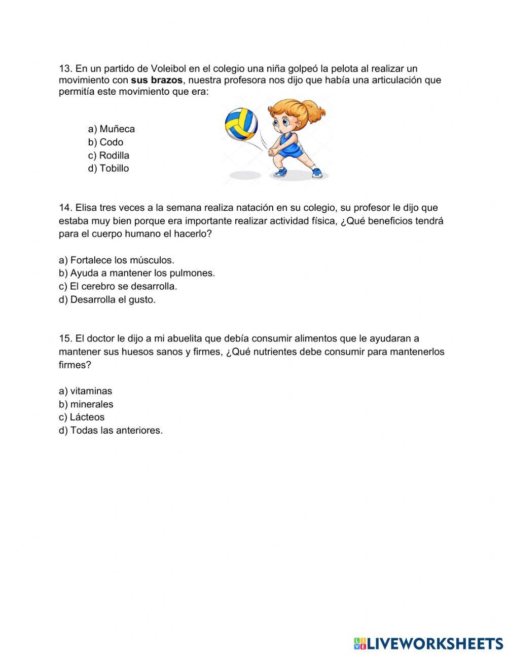 Sistema músculo-esqueletico