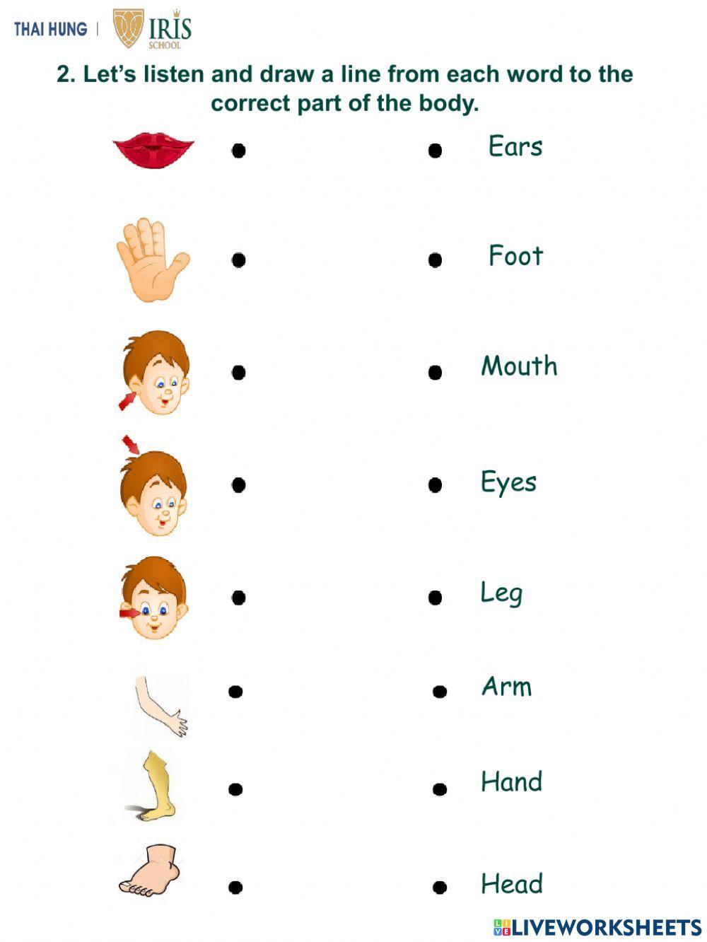 Sunny-Worksheet about Body parts for Kids