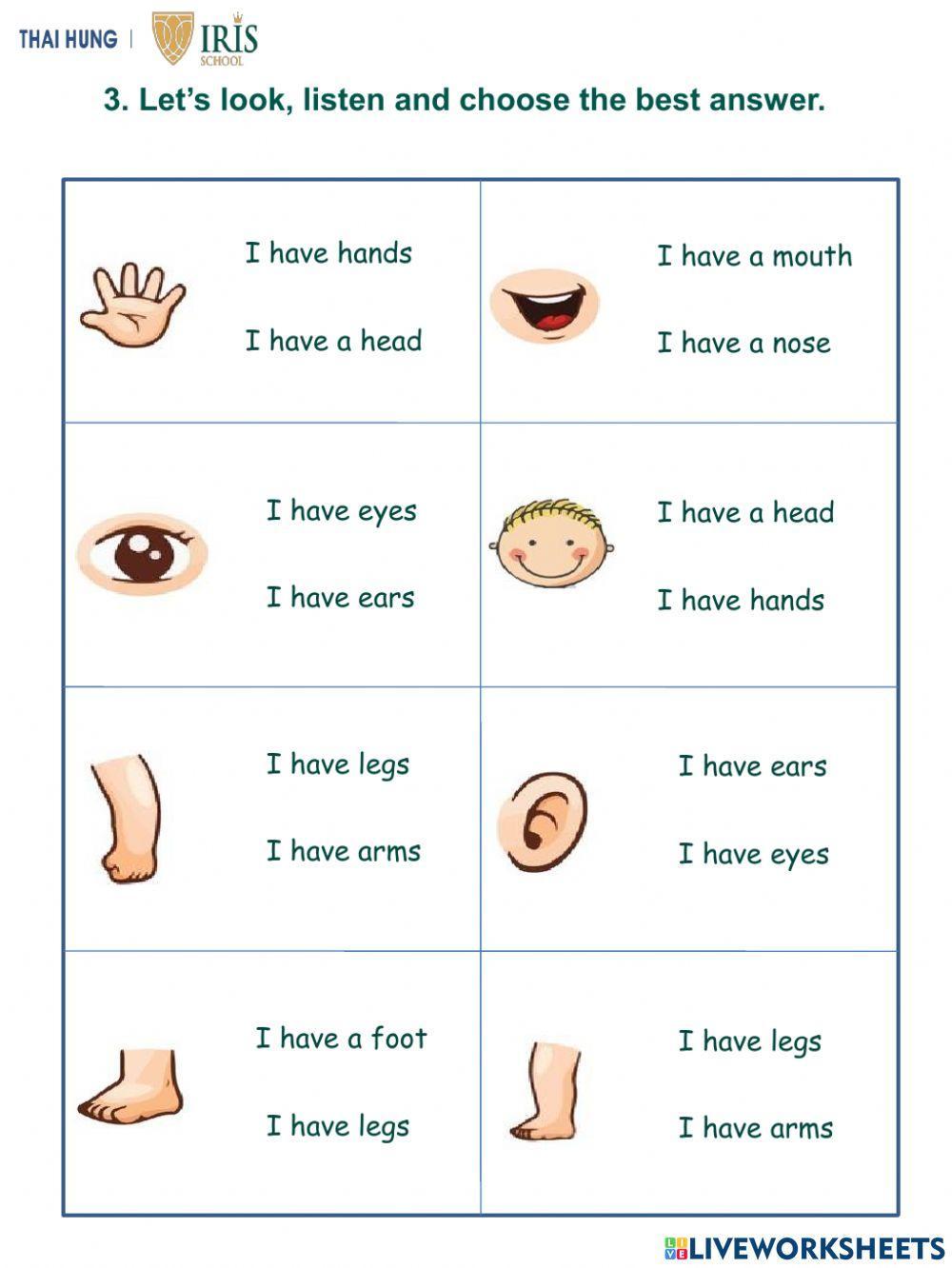 Sunny-Worksheet about Body parts for Kids