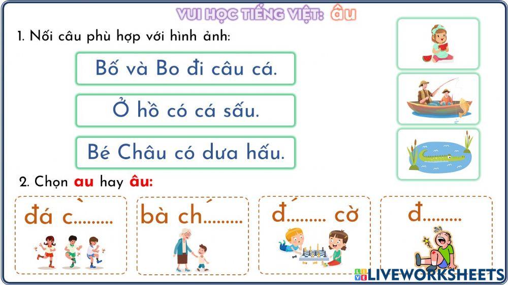 Phiếu ôn tập âu