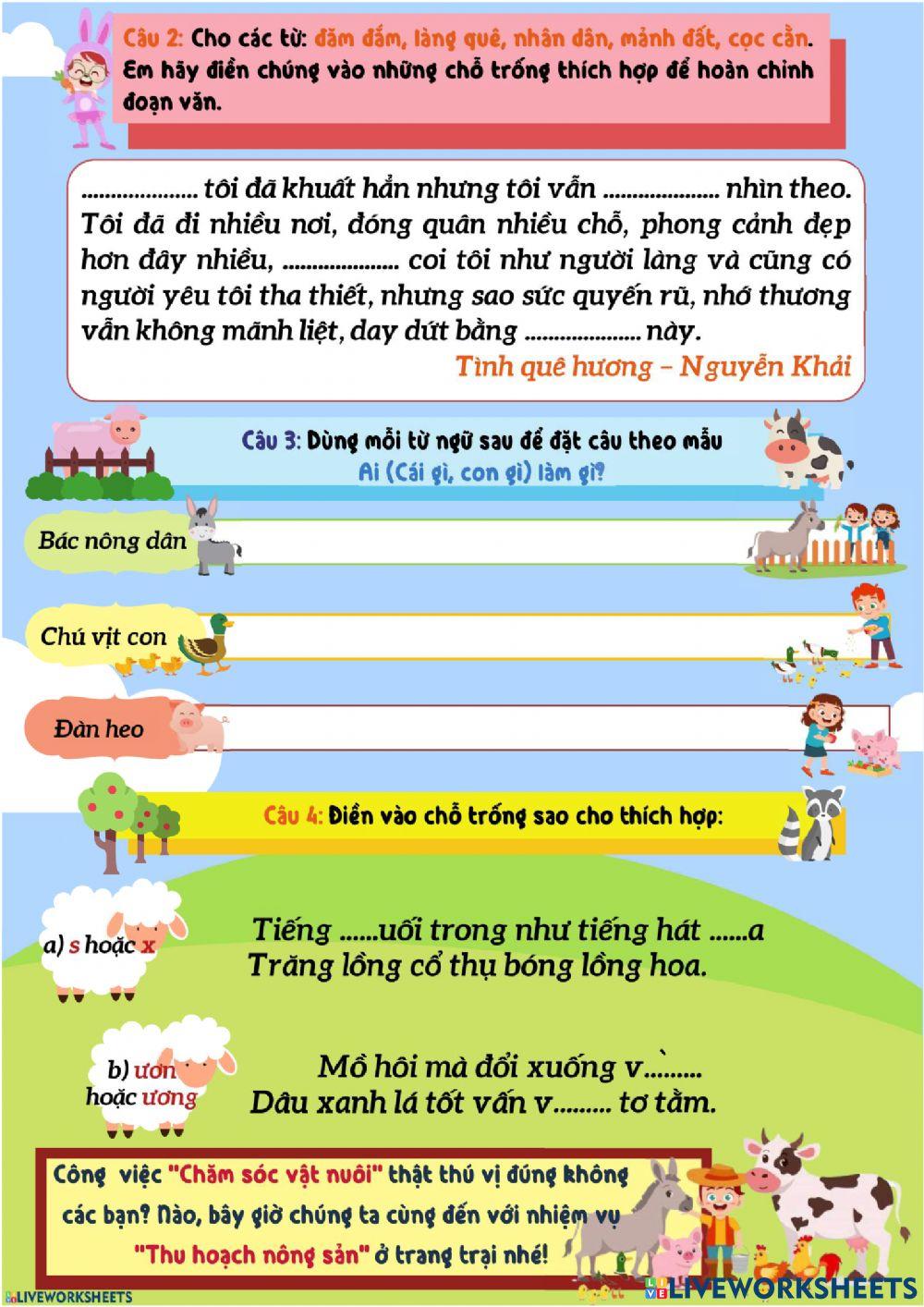 Bài tập tuần 11