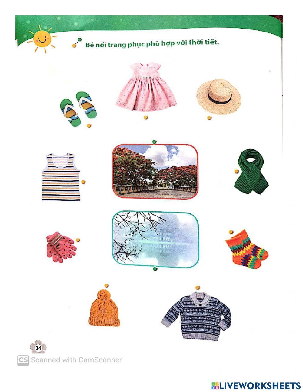 Cuốn MTXQ - Trang 24 - Lớp Mầm ( 3-4 tuổi)