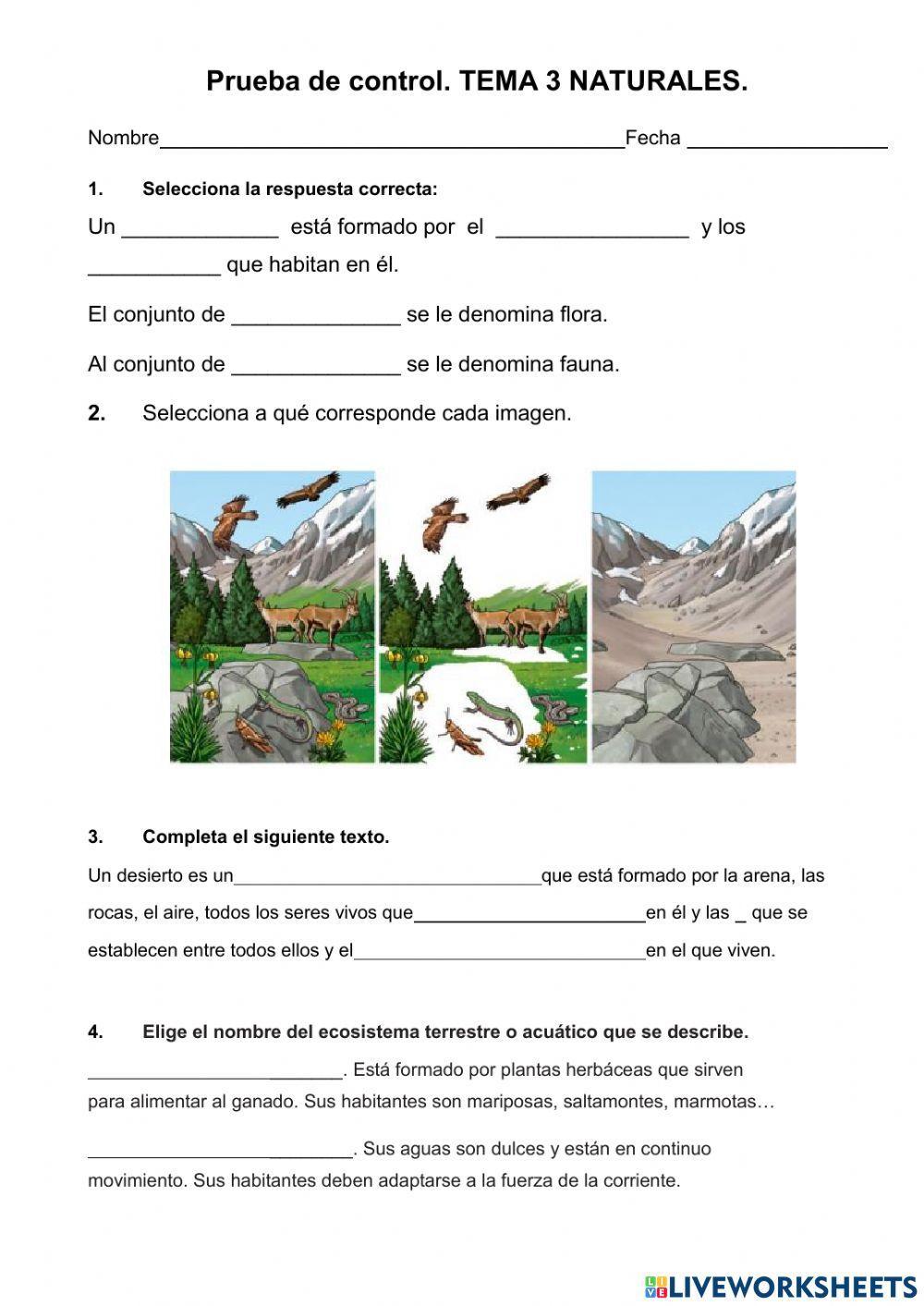 Examen tema 3 naturales. 5º primaria